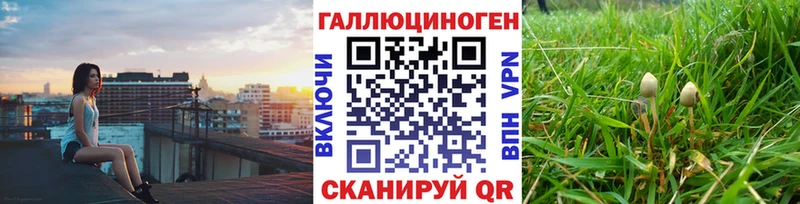 блэк спрут   Шатура  Псилоцибиновые грибы мухоморы 