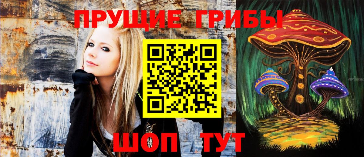 Шатура  купить  цена  Псилоцибиновые грибы MAGIC MUSHROOMS  Вход с VPN  Псилоцибиновые грибы Psilocybe 