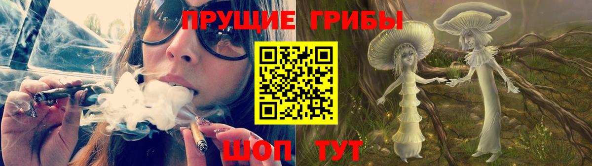 Псилоцибиновые грибы GOLDEN TEACHER Шатура